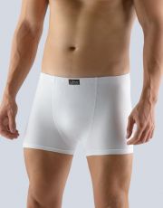 Pánské boxerky s kratší nohavičkou 73088P GINA