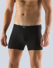 Pánské boxerky s kratší nohavičkou 73088P GINA