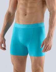 Pánské boxerky s delší nohavičkou 74117P GINA