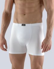 Pánské boxerky s delší nohavičkou 74090P GINA