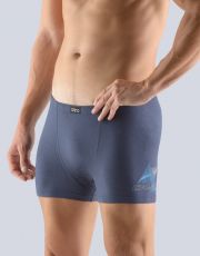 Pánské boxerky s kratší nohavičkou 73083P GINA