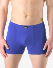 Pánské boxerky s kratší nohavičkou 73125P GINA