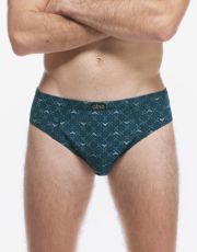 Pánské slipy se širším bokem 71139P GINA