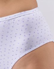 Dámské klasické kalhotky ve větších velikostech 11093P GINA 